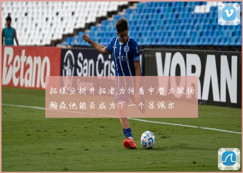 拓媒分析开拓者为何看中潜力股杨瀚森他能否成为下一个吕佩尔